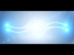 Acerca de nosotros Perfil de la empresa